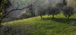 parco_arboreto2