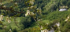 parco_arboreto_veduta_teatro