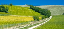 mondaino_paesaggio