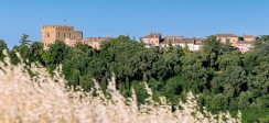 mondaino_veduta_campi1