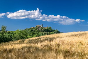 mondaino veduta campi