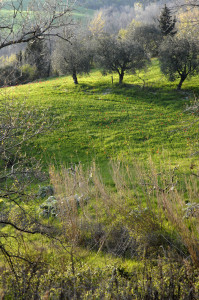 parco l'arboreto teatro dimora di mondaino