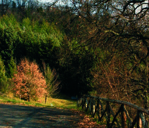 parco l'arboreto teatro dimora di mondaino