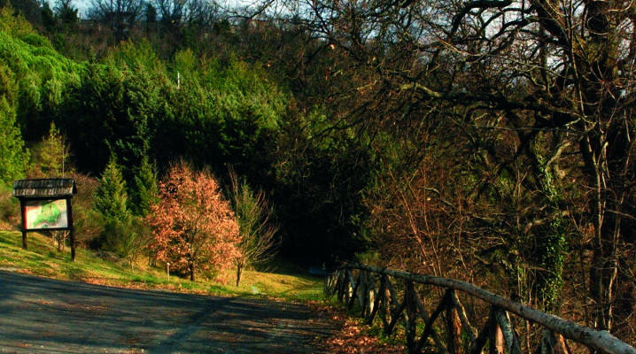 parco l'arboreto teatro dimora di mondaino